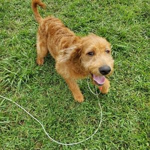 Meet your Posher, Lindsey